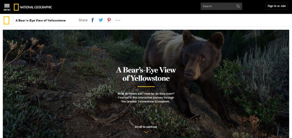 NatGeo | A Bear s Eye View of Yellowstone